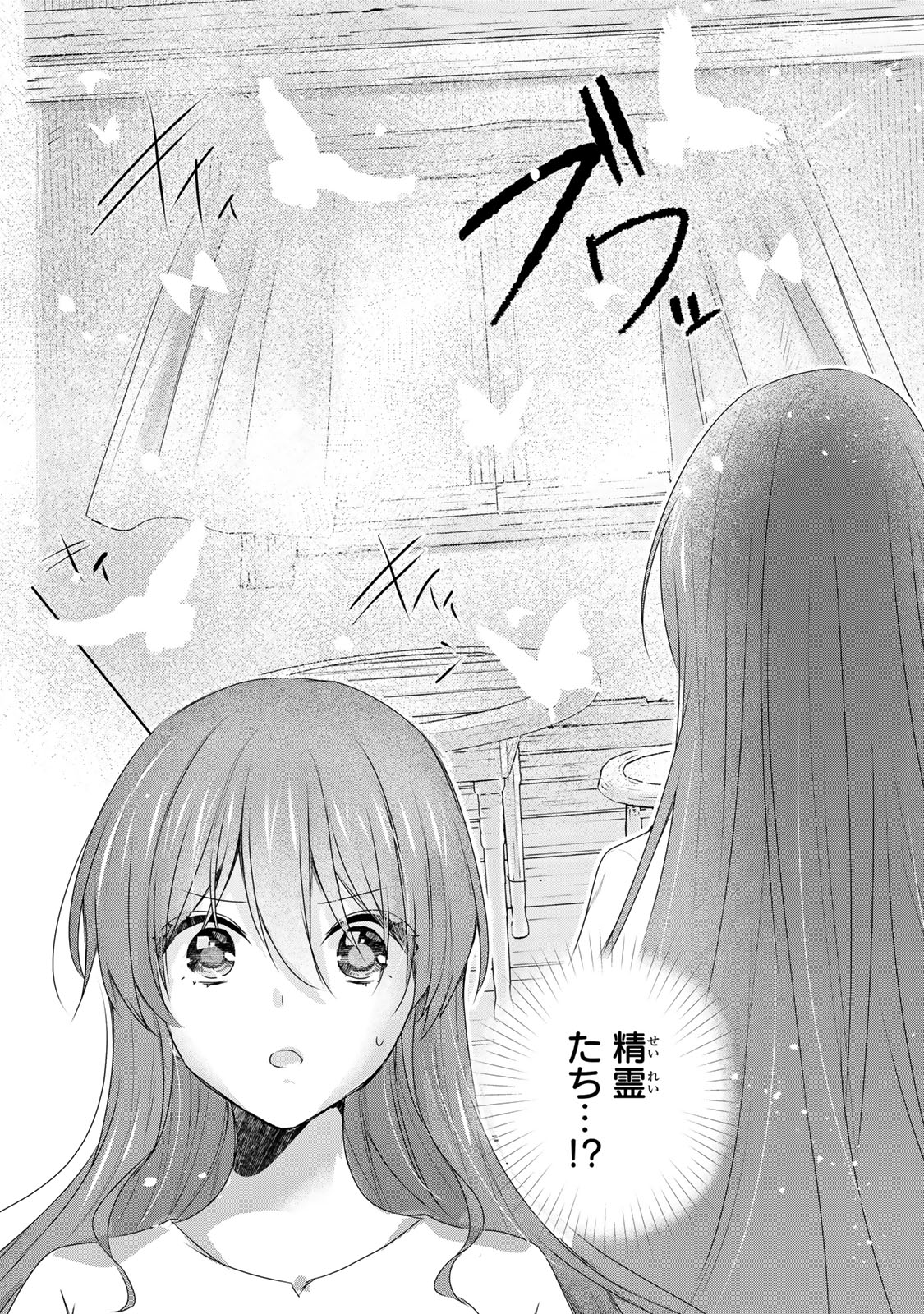 聖女様をお探しでしたら妹で間違いありません。さあどうぞお連れください、今すぐ。 18.1話 - Page 11