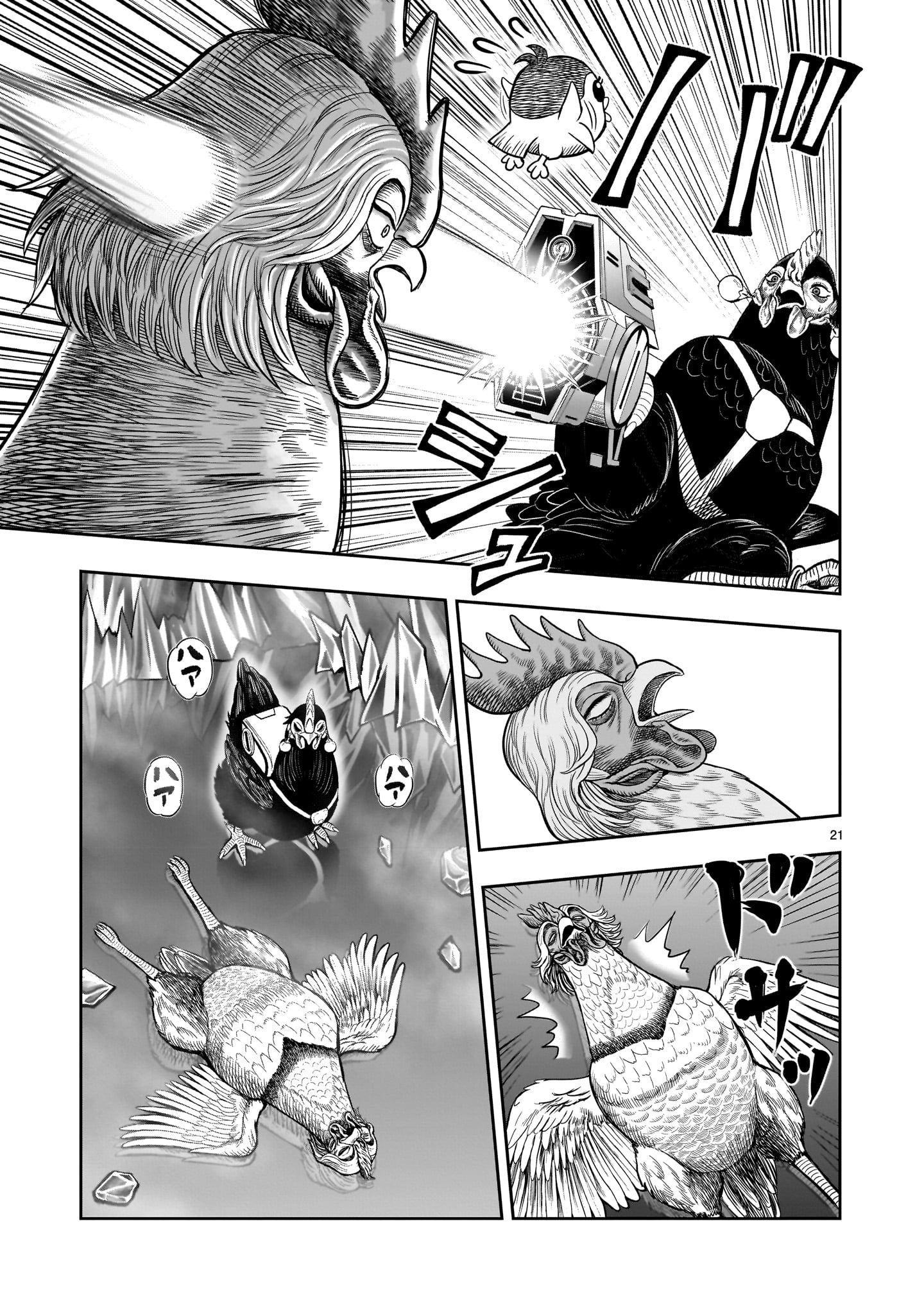 ニワトリ・ファイター 49話 - Page 21