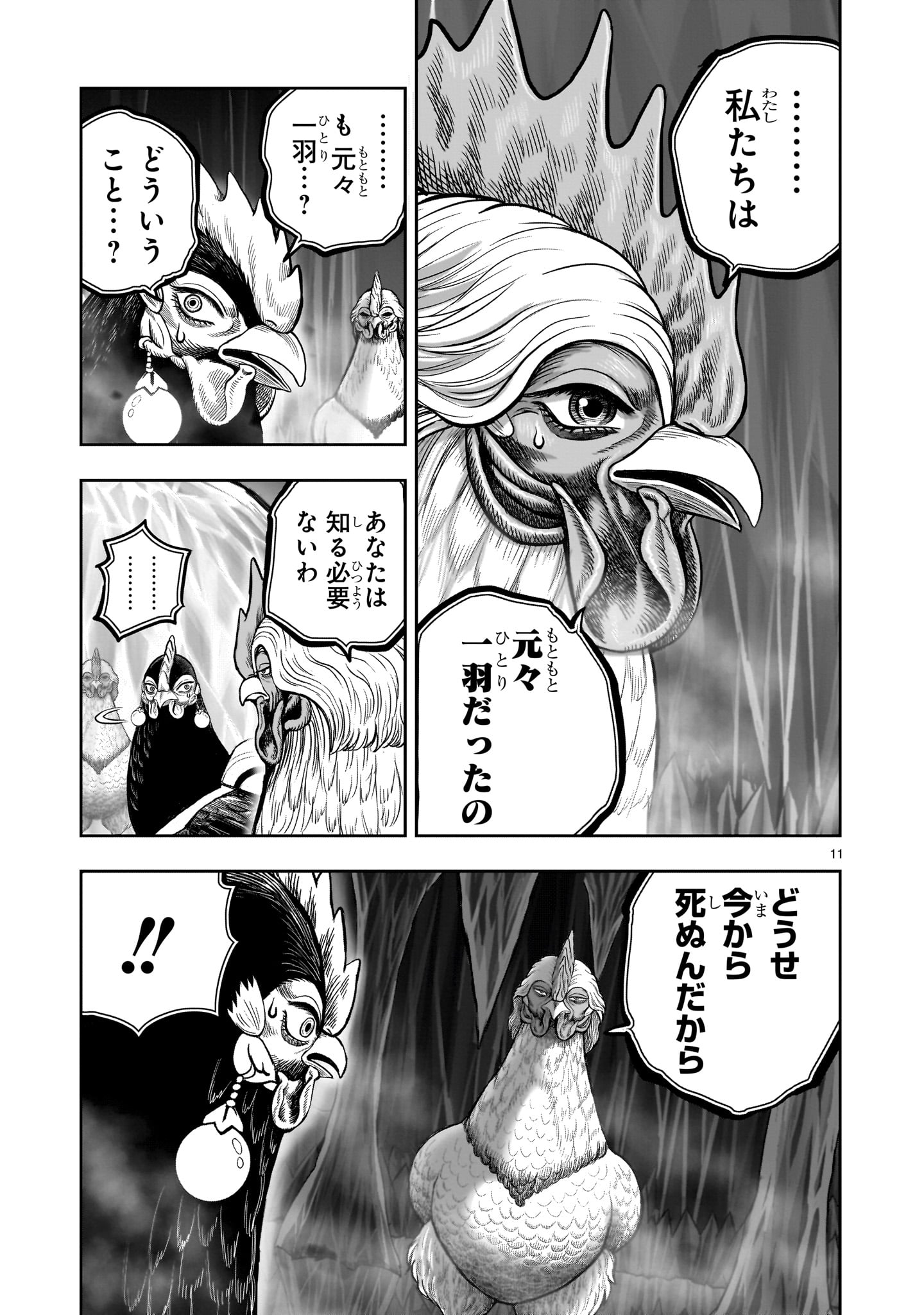 ニワトリ・ファイター 49話 - Page 11