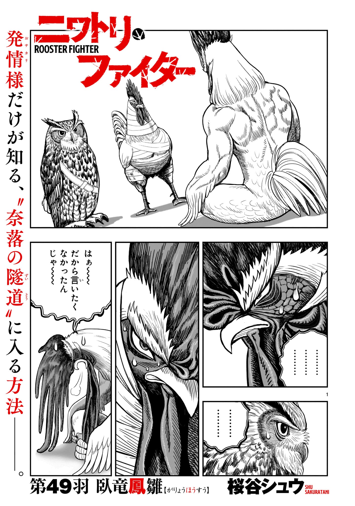 ニワトリ・ファイター 49話 - Page 1