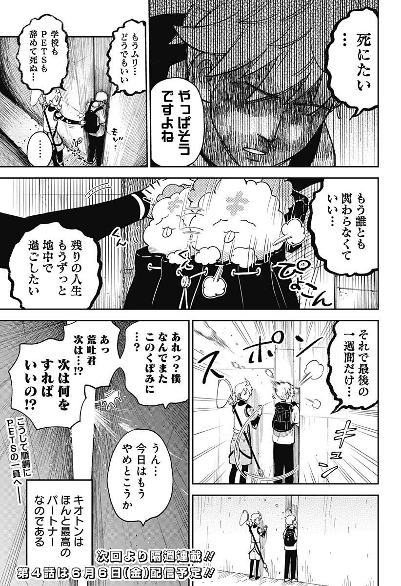 23