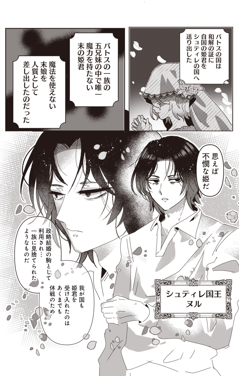 政略結婚で嫁いできた姫君がやる気あり過ぎて引く 1話 - Page 3