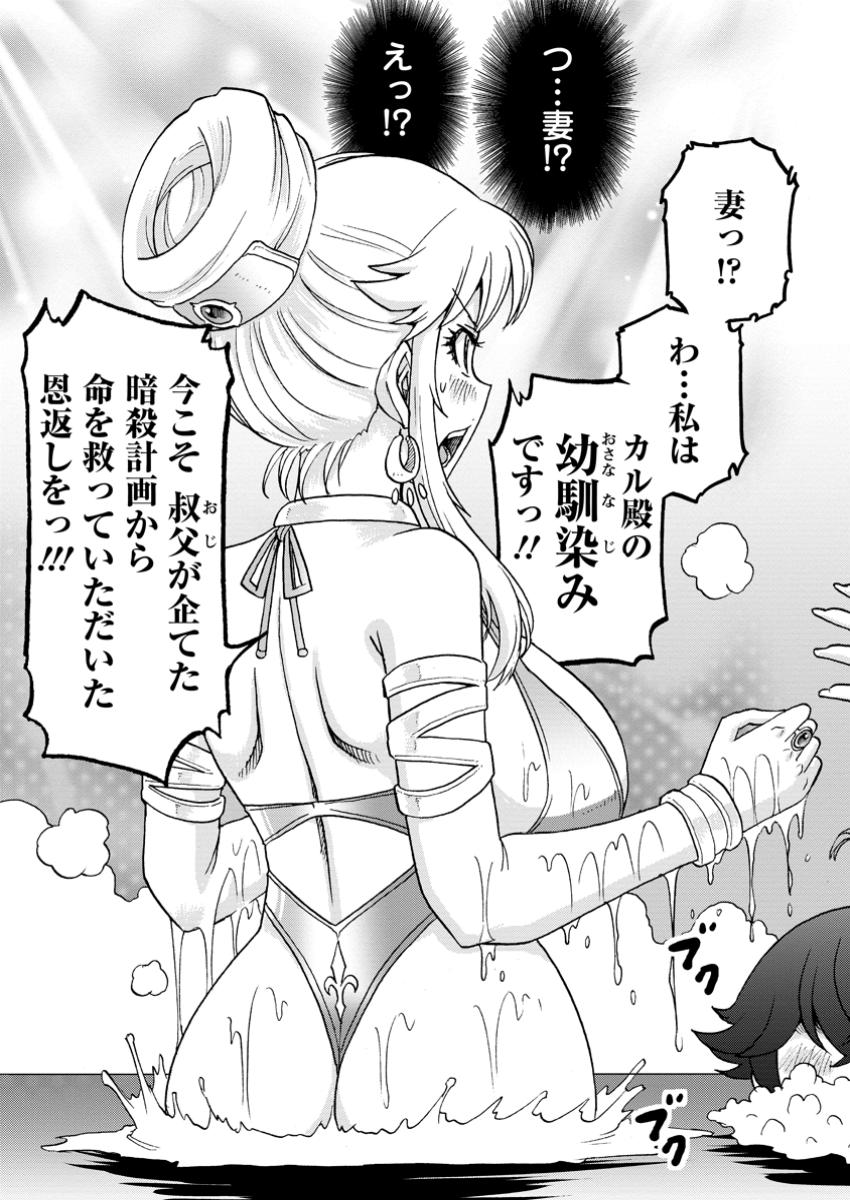 竜王に拾われて魔法を極めた少年、追放を言い渡した家族の前でうっかり無双してしまう～兄上たちが僕の仲間を攻撃するなら、徹底的にやり返します～ 9.1話 - Page 11