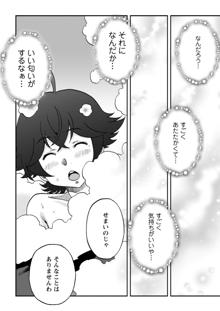 竜王に拾われて魔法を極めた少年、追放を言い渡した家族の前でうっかり無双してしまう～兄上たちが僕の仲間を攻撃するなら、徹底的にやり返します～ 9.1話 - Page 8