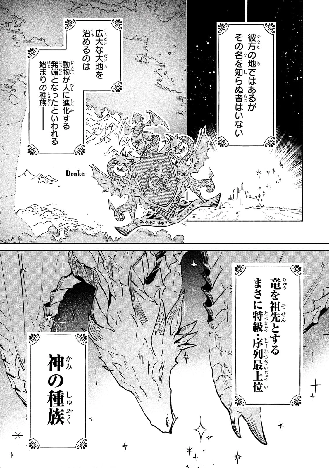 勘違い結婚 偽りの花嫁のはずが、なぜか竜王陛下に溺愛されてます!? 第1話 - Page 13