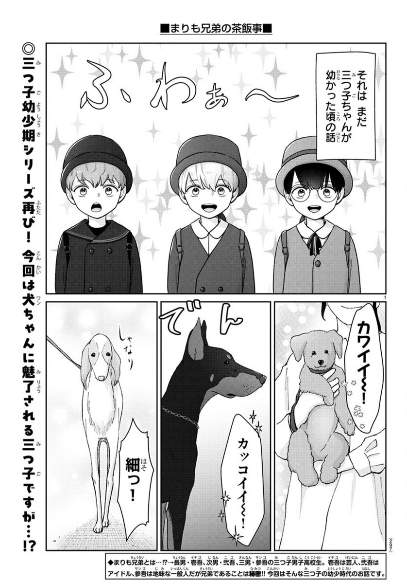 まりも兄弟の茶飯事 40話 - Page 2