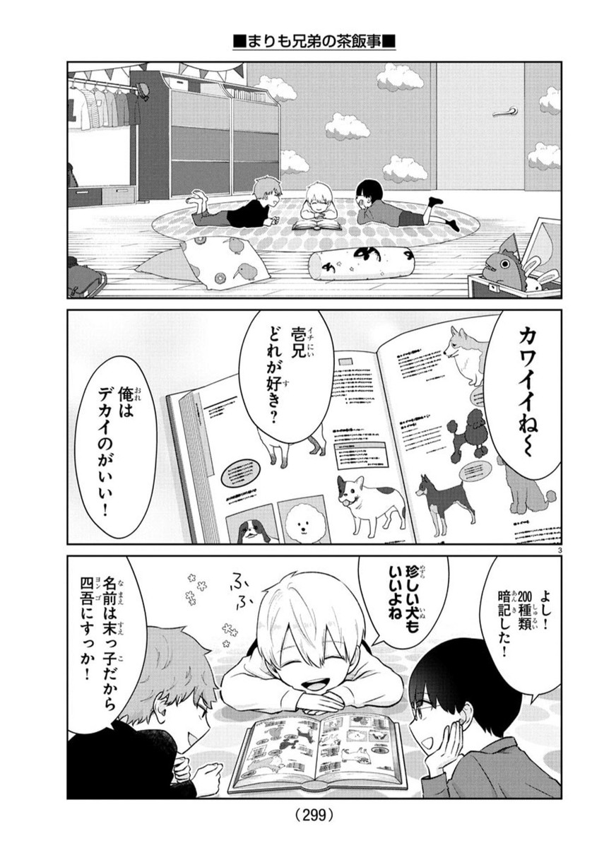 まりも兄弟の茶飯事 40話 - Page 4