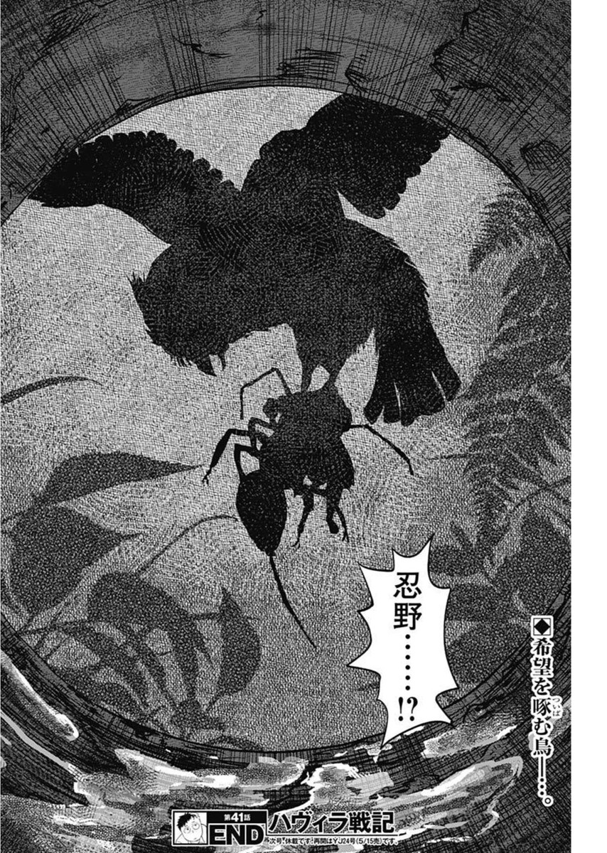 ハヴィラ戦記 41話 - Page 18