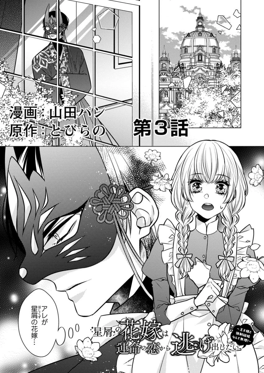 星屑の花嫁は運命の恋から逃げ出したい～王子様と強制結婚なんて無理！～ 第3.1話 - Page 1